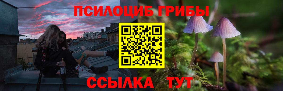 Новочебоксарск  Галлюциногенные грибы мицелий  Вход с VPN 